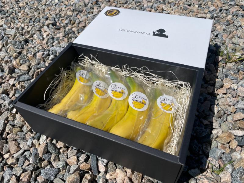 信長バナナ　化粧箱5本入×2箱