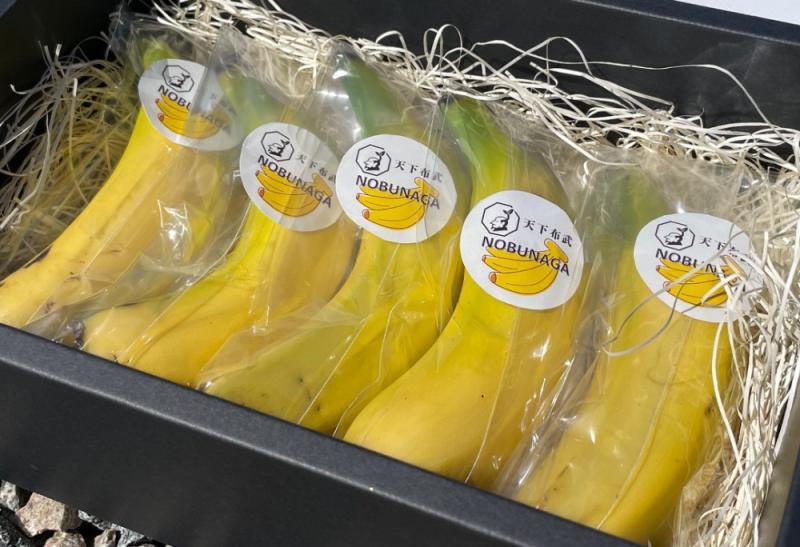 信長バナナ　化粧箱5本入×2箱