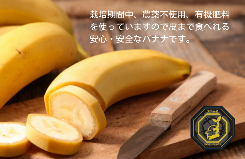 信長バナナ　化粧箱5本入×2箱