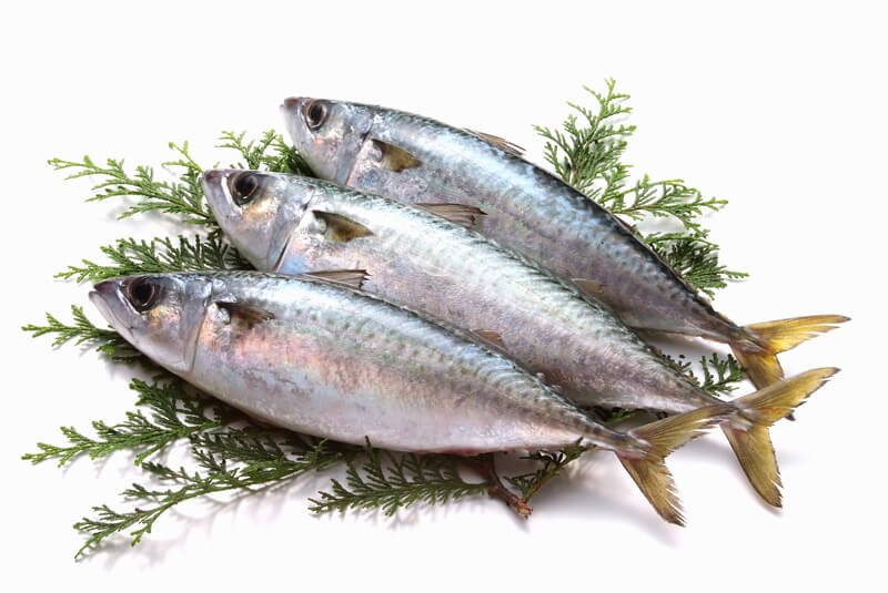 魚介類