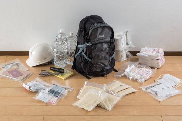 真空ジッパーバッグ(Lサイズ12枚)5袋【送料込】